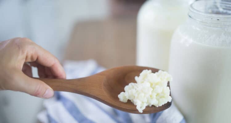 How To Make Natural Penicillin How To Make Natural Penicillin
