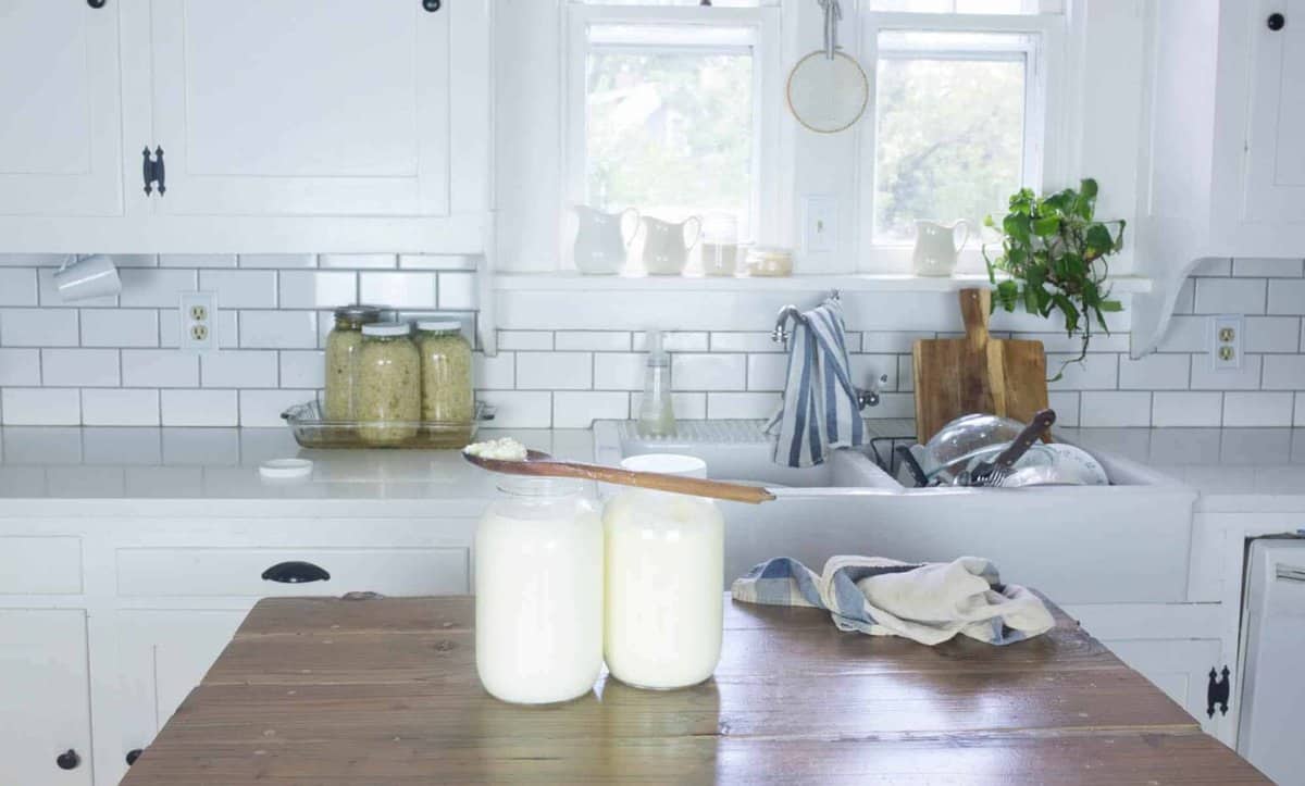 Two jars of kefir on a countertop.