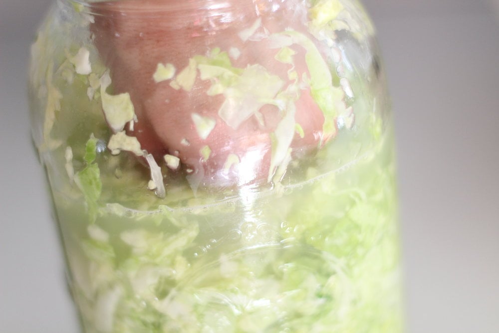 hand pressing down fresh cabbage massaged with salt to make sauerkraut