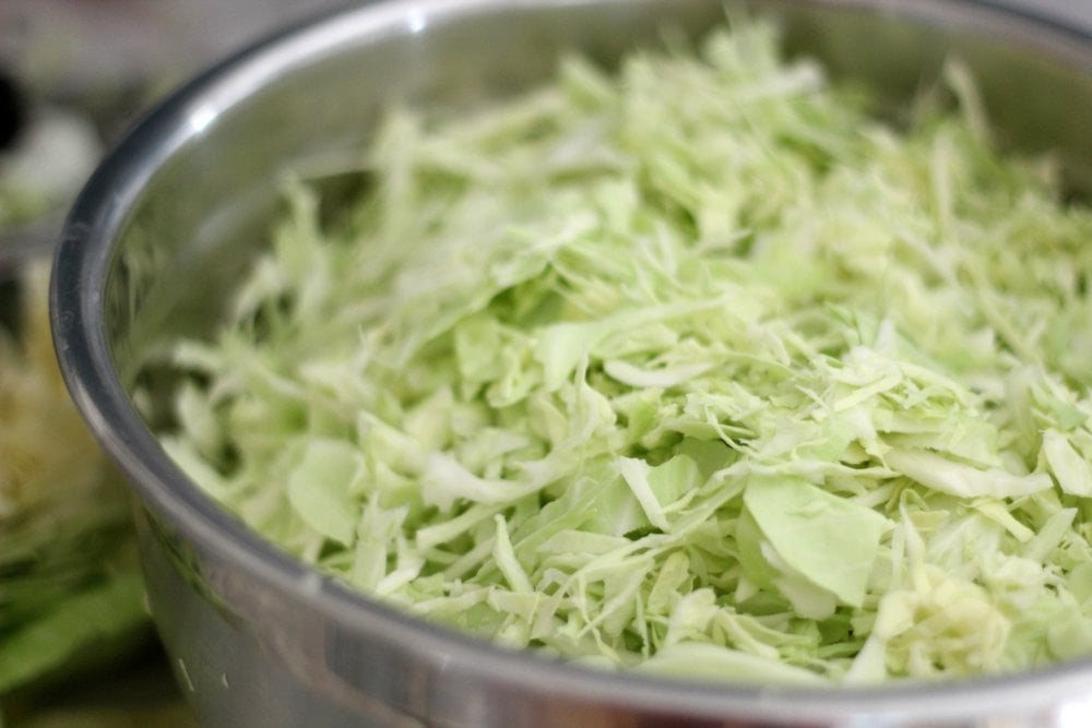 shredded cabbage in a stainless steel bowl to make fermented sauerkraut recipe