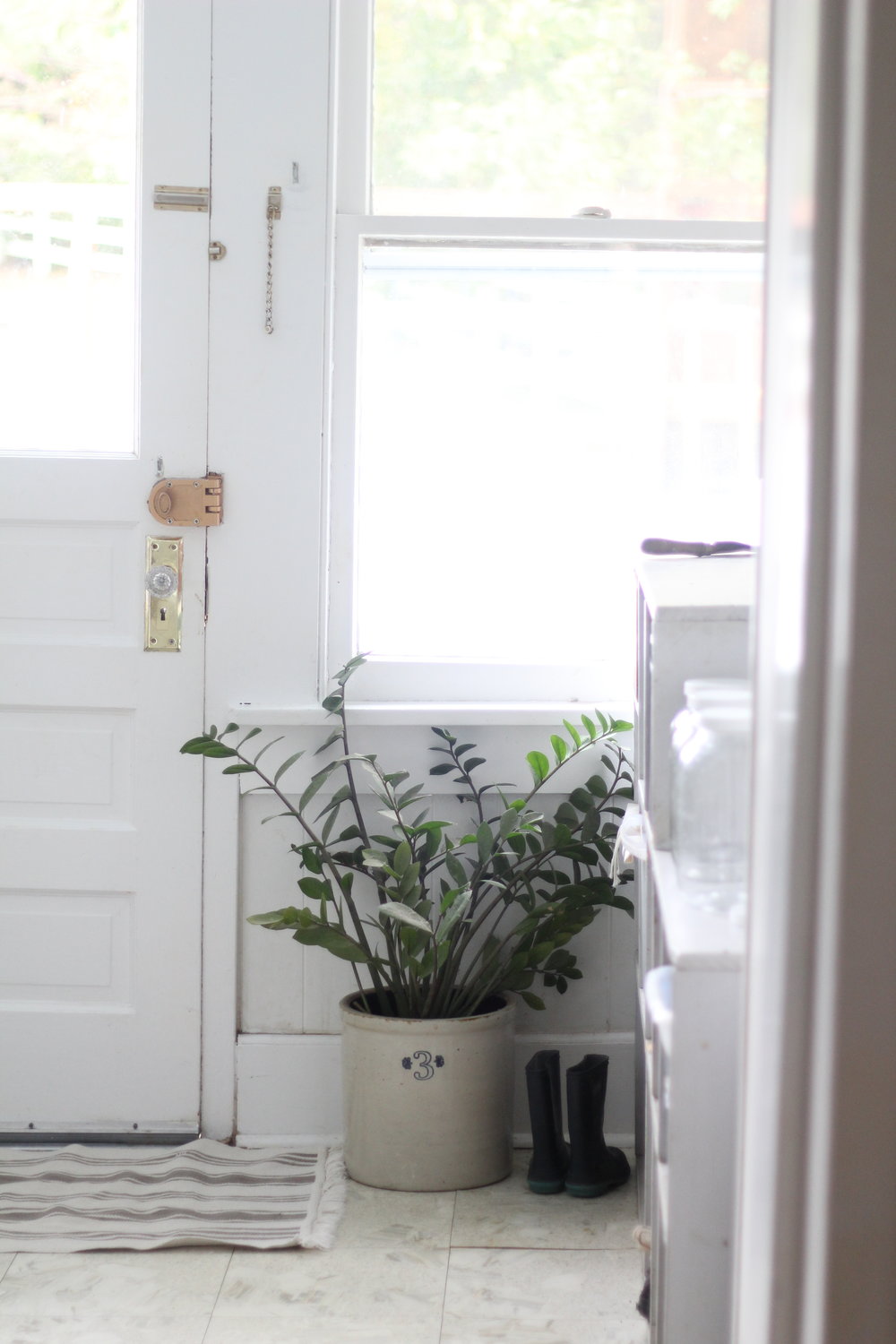 ikea rug at a back door mud room with a large plant to the right