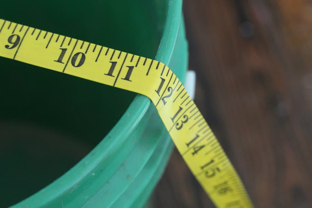 measuring the bucket