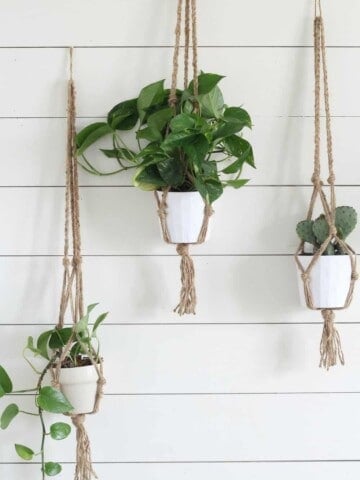 three macrame plant holders made from jute with plants hanging on a white shiplap wall