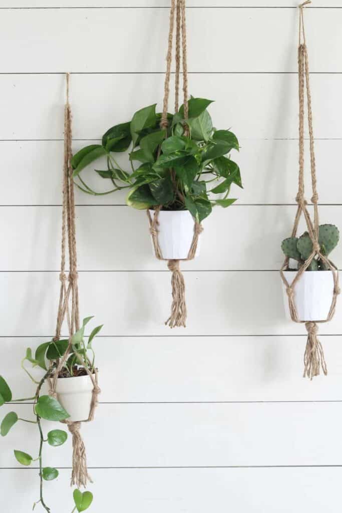 three macrame plant holders made from jute with plants hanging on a white shiplap wall