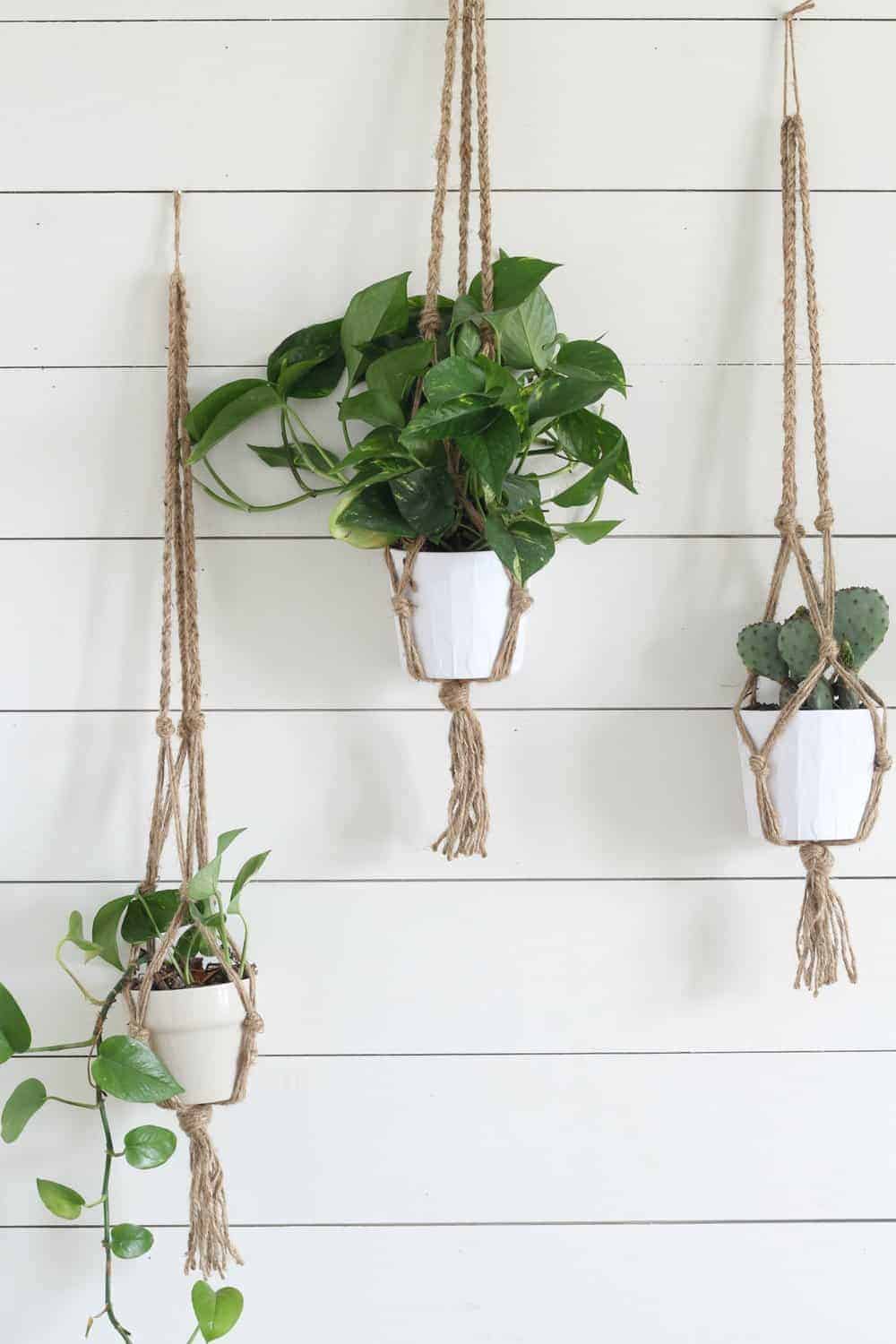 three macrame plant holders made from jute with plants hanging on a white shiplap wall