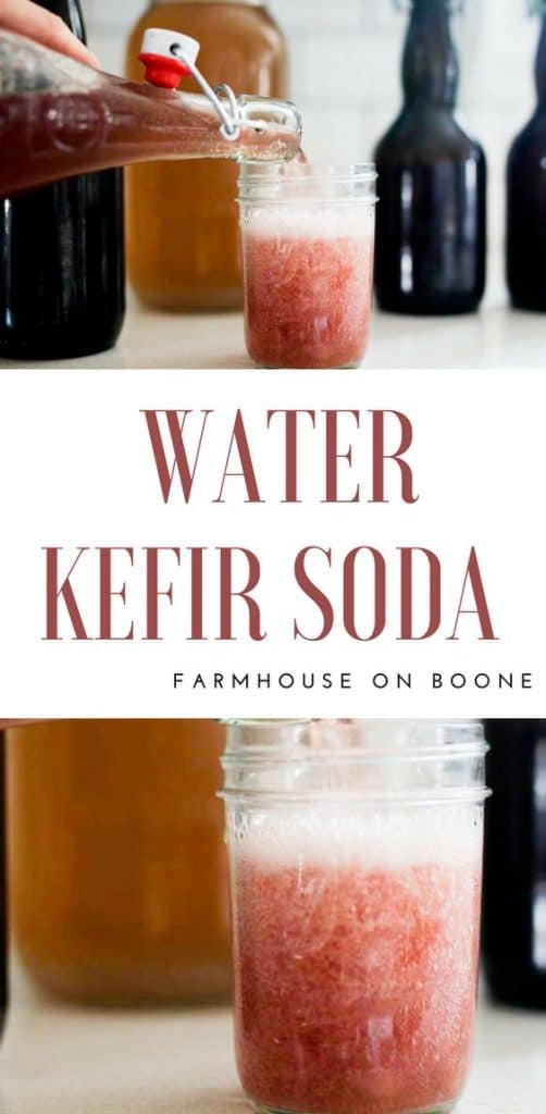 water kefir soda