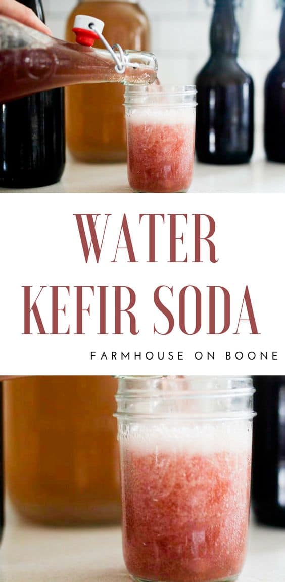 How to Make Water Kefir Soda Farmhouse on Boone