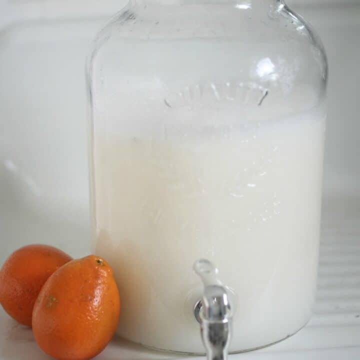 Homemade Laundry Soap