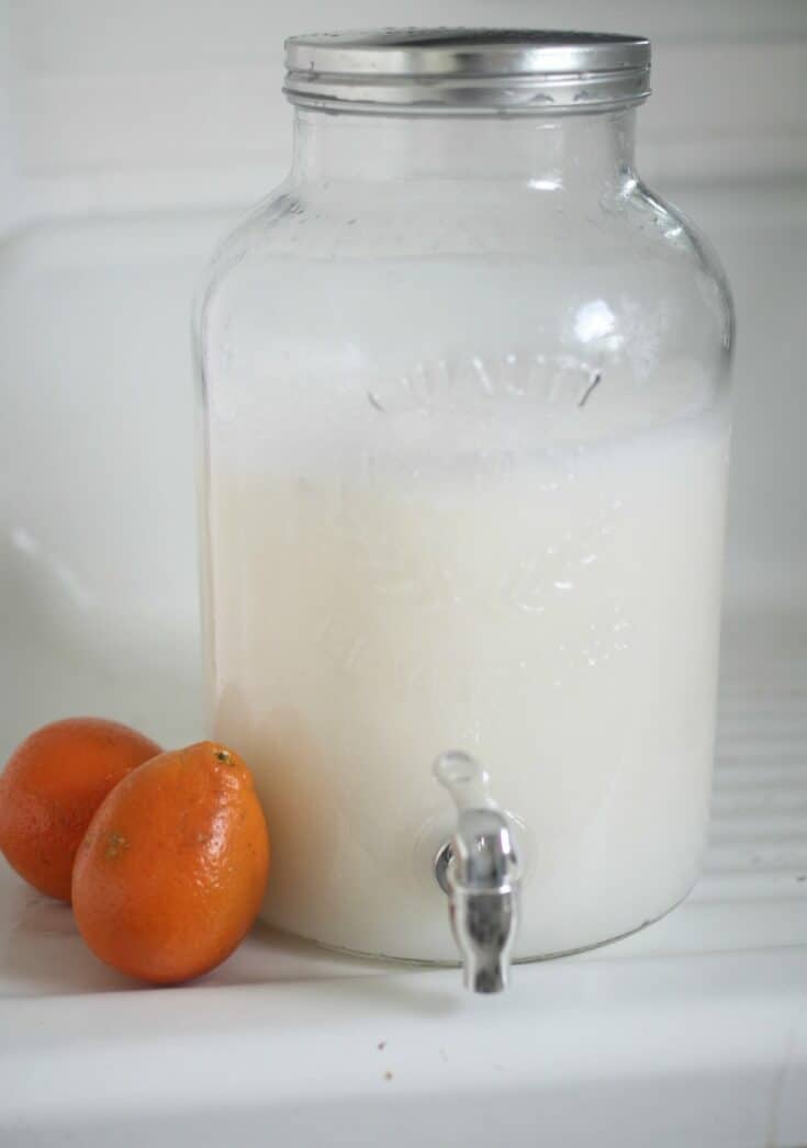 Homemade Laundry Soap Orange Scented Farmhouse On Boone