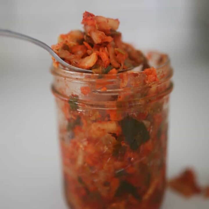 Fermented Homemade Kimchi