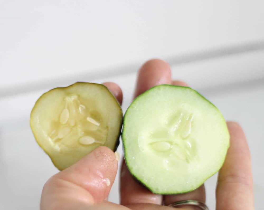 hand holding homemade fermented pickle and a freshly sliced cucumber