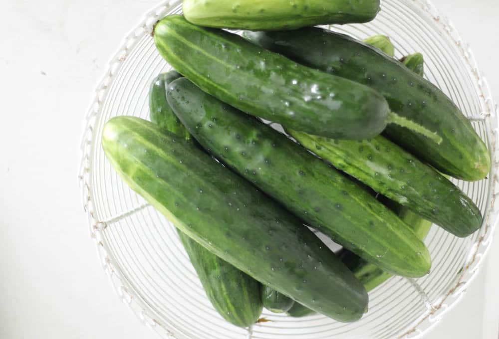 white basket filled with pickling cucumbers