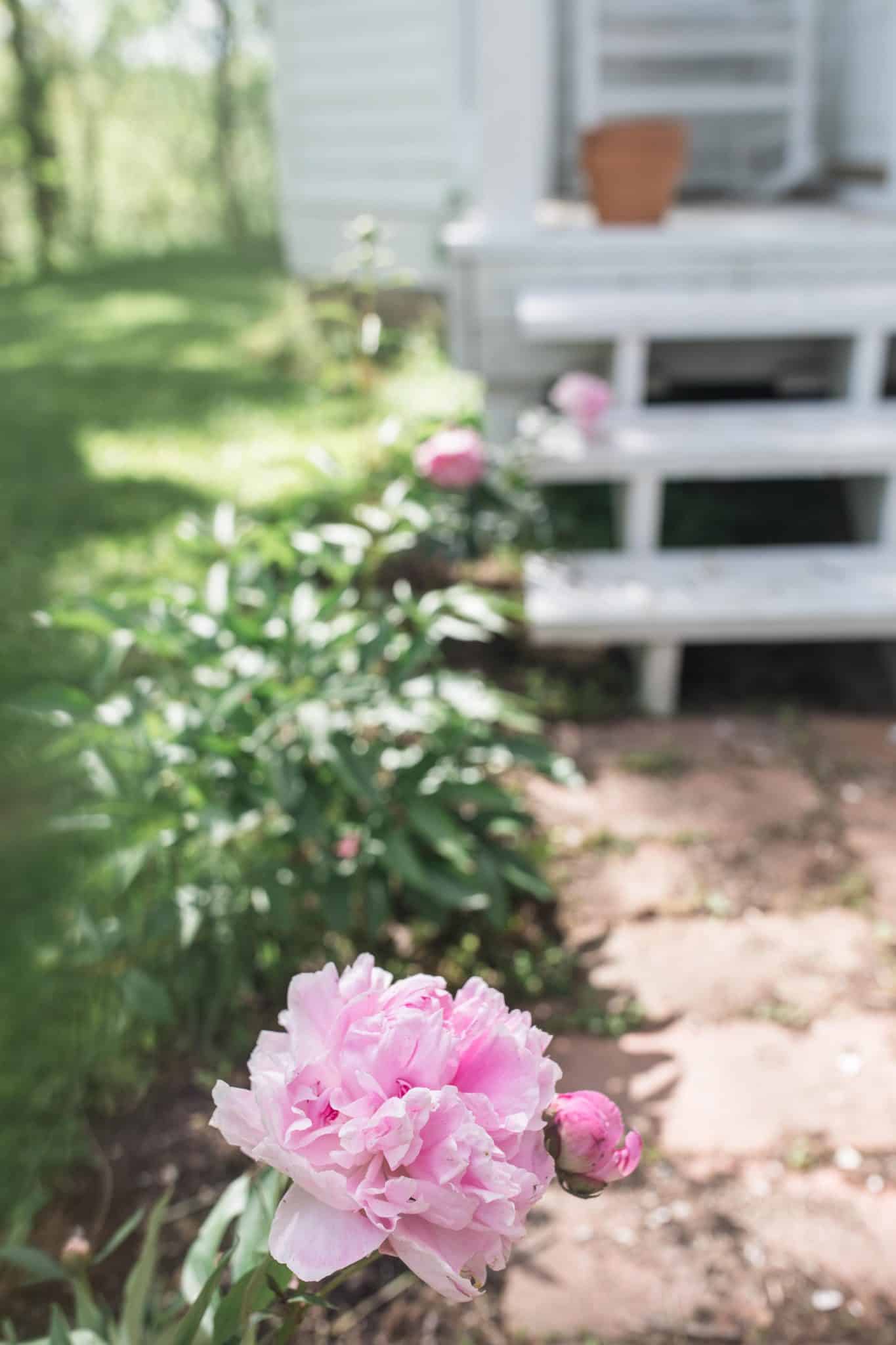 7 Tips For Growing A Cut Flower Garden And How To Make Beautiful
