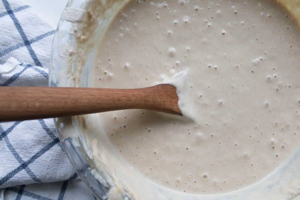 sourdough starter in a bowl