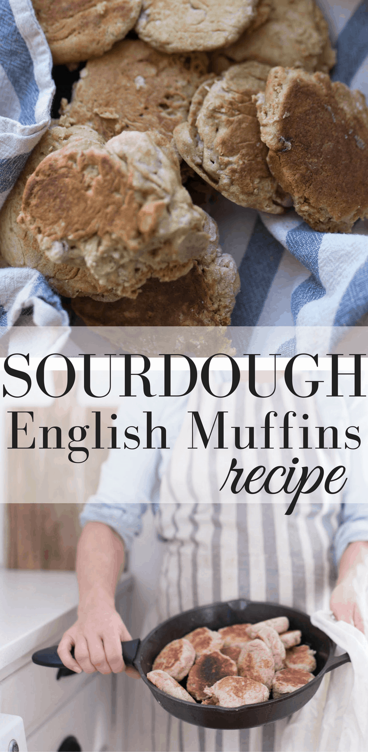 Sourdough English Muffins - Aberle Home