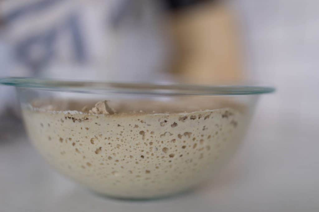 bubbly sourdough starter in a glass bowl on a white countertop
