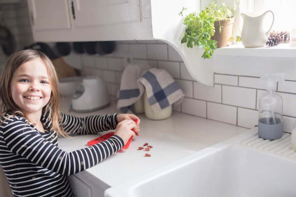 Homemade Gummy Bears with Juice and Gelatin Farmhouse on Boone