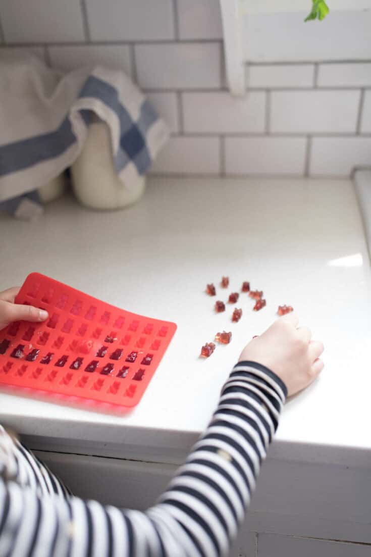 Homemade Gummy Bears with Juice and Gelatin Farmhouse on Boone