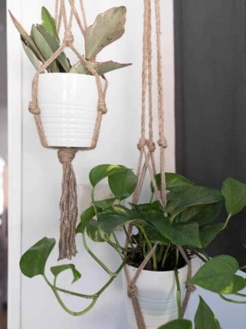 Macrame Plant Hanger DIY Video Tutorial