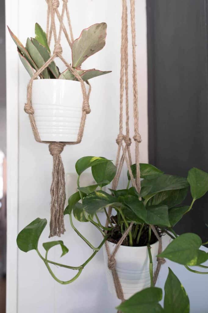 Two Macrame Plant Hanger DIY hanging