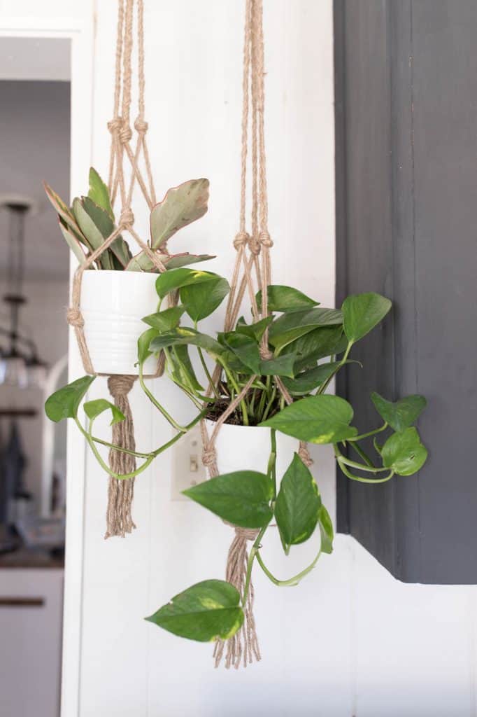 two macrame plant hangers hanging with plants - Jute Plant Hanger DIY with Video Tutorial