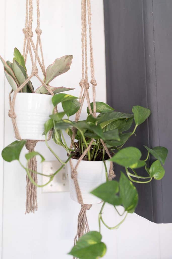 DIY Farmhouse Decor Plant Hanger Video Tutorial