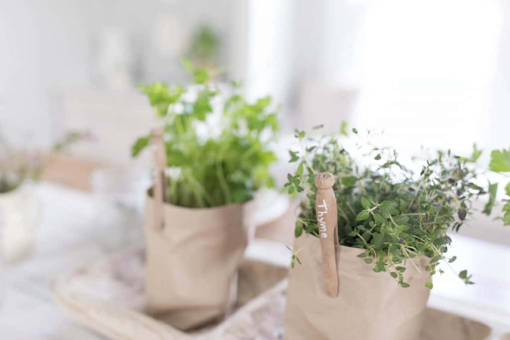 Clothespin and Sharpie Paint Pen Plant Markers