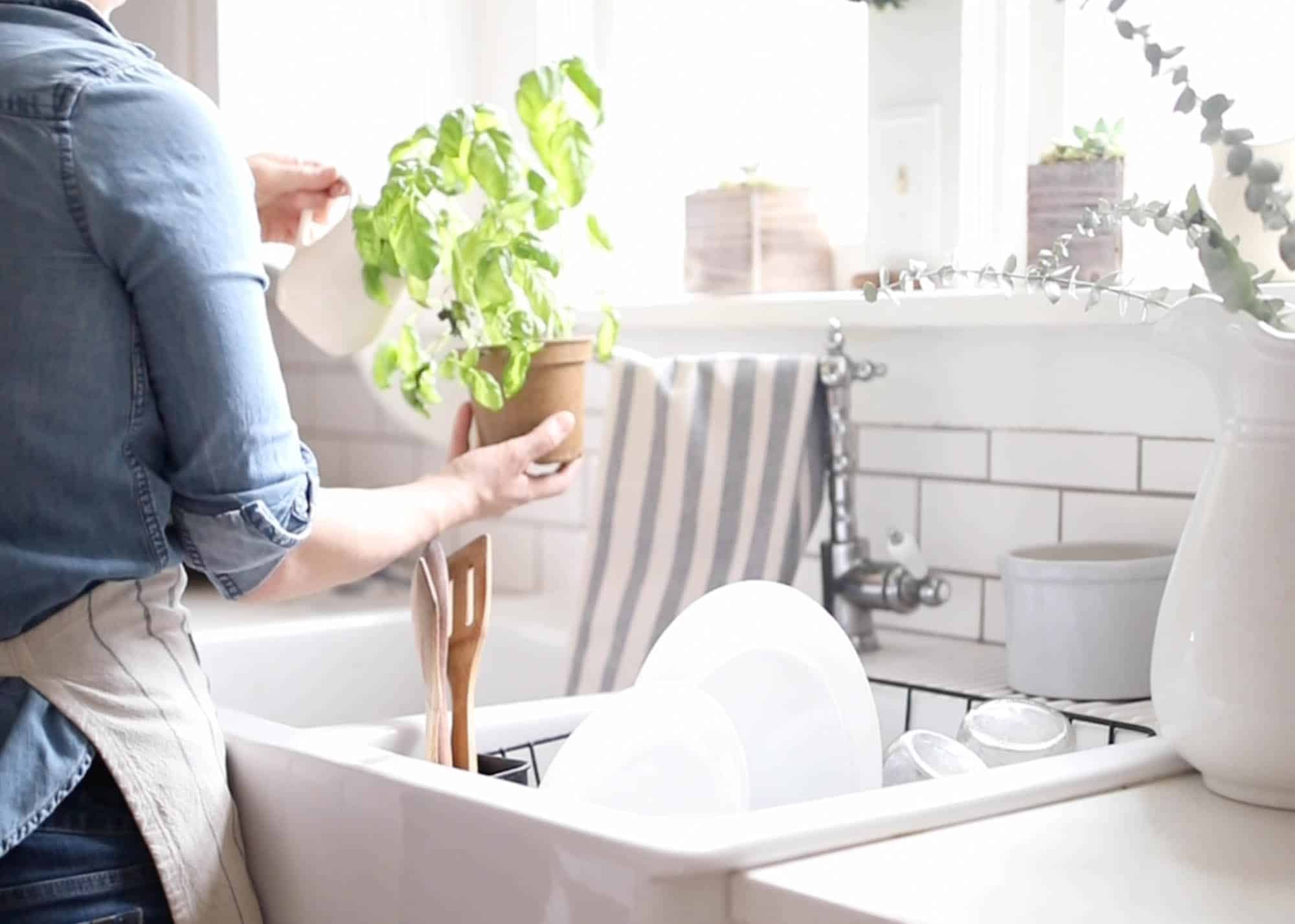 Farmhouse Sink Basil Herb Garden