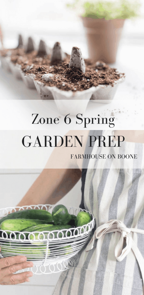 Zone 6 spring garden preparation starting seeds indoors