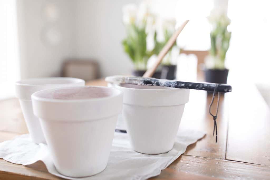 Chalk painted terra cotta pots for a simple potted tulip centerpiece