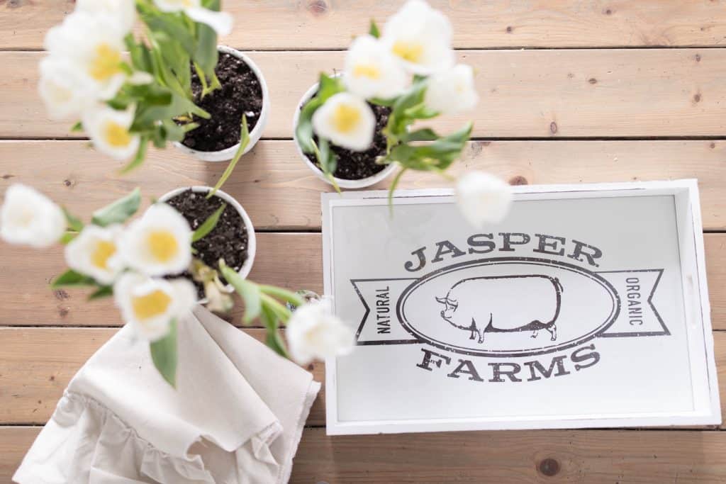 Simple spring centerpiece potted tulips