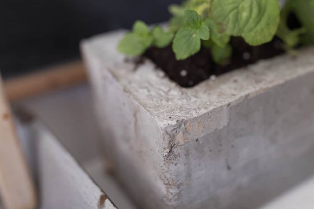 DIY concrete herb planter with cardboard molds