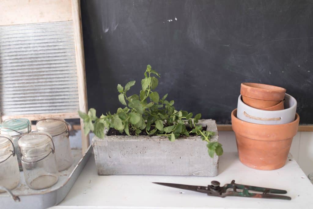 How to make a DIY concrete planter with cardboard forms