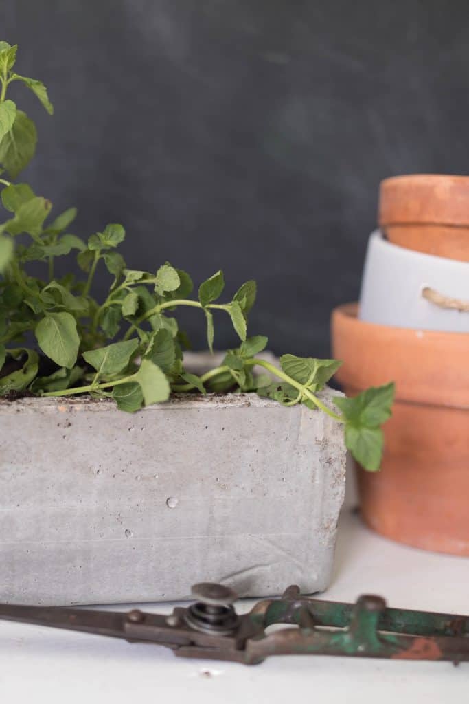 How to make a DIY Concrete Planter 