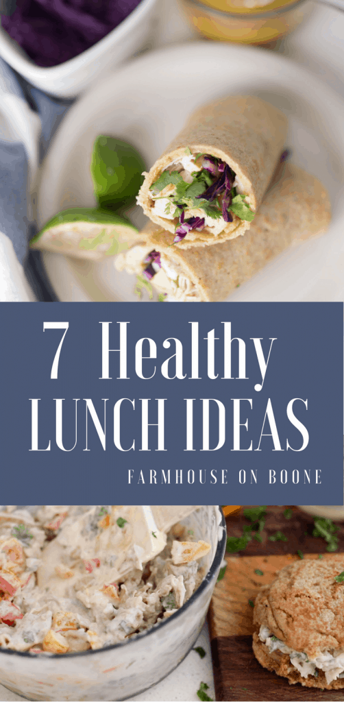 Seven Healthy Meal Ideas for Family 