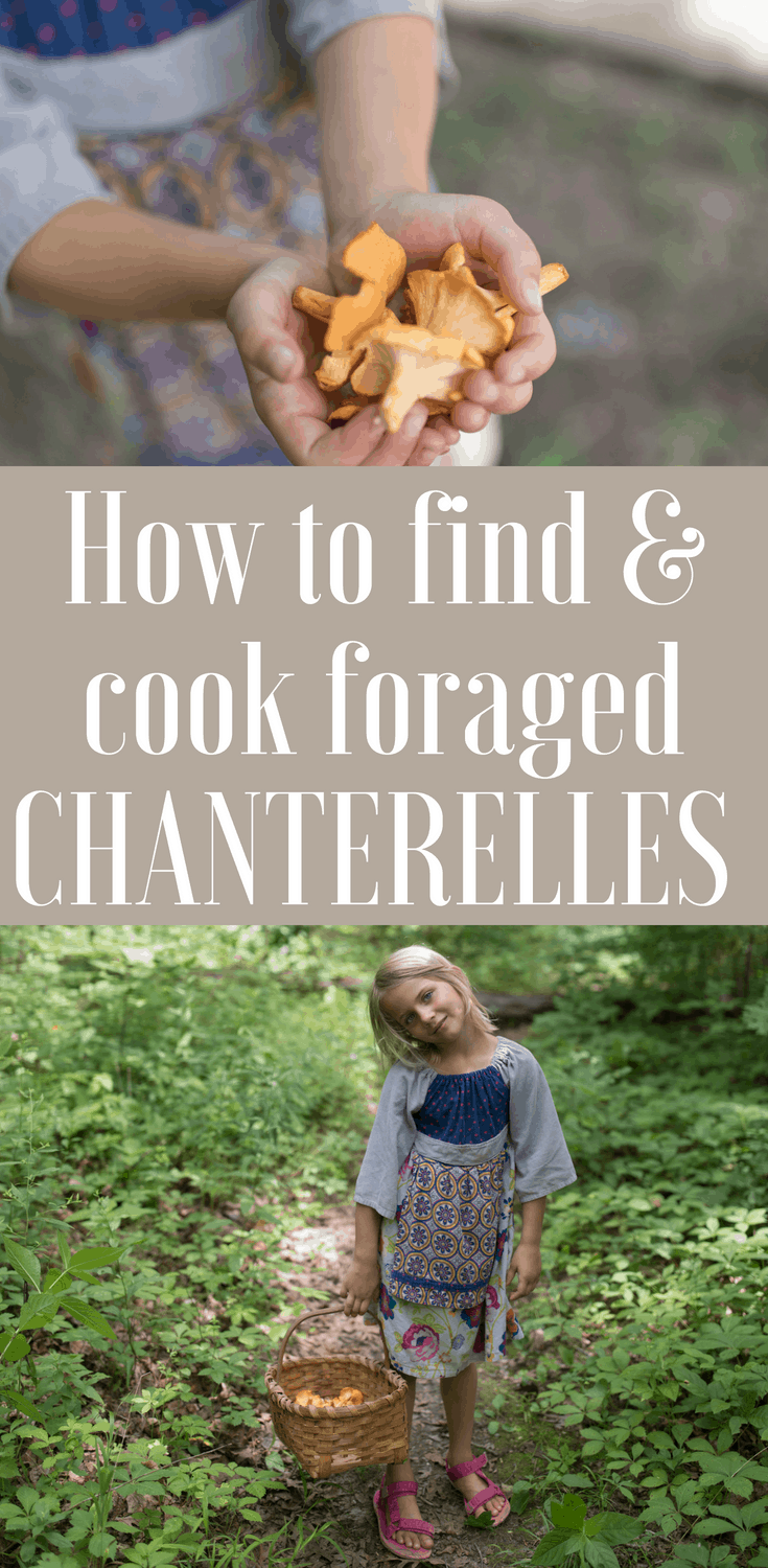 foraging chanterelle mushrooms how to find and cook locally foraged chanterelles 