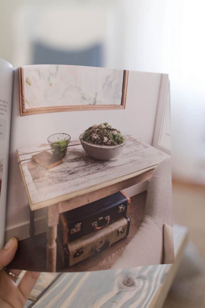 Moss in a concrete planter from the french vintage decor book