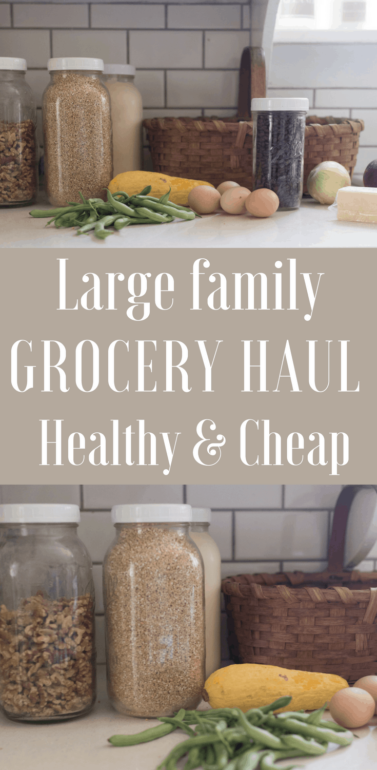 Grocery Haul Healthy | Large Family Grocery Shopping | ALDI