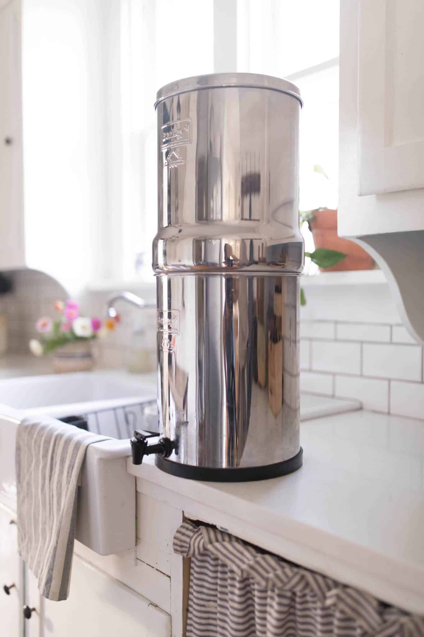 Stainless steel counter top water filter system on the counter.