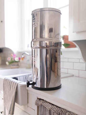 Berkey water filter review large family healthy water
