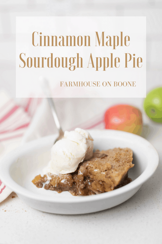Healthy Apple Recipes Sourdough Apple Pie