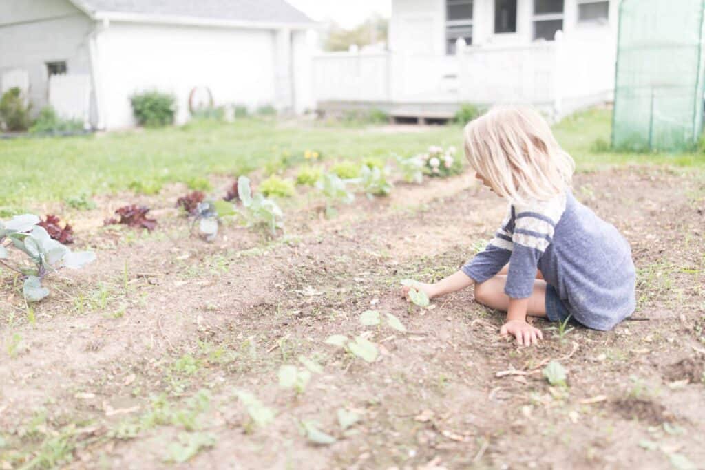 Stonyfield Playfree Initiative the importance of organic gardening