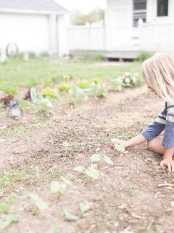 Stonyfield Playfree Initiative the importance of organic gardening