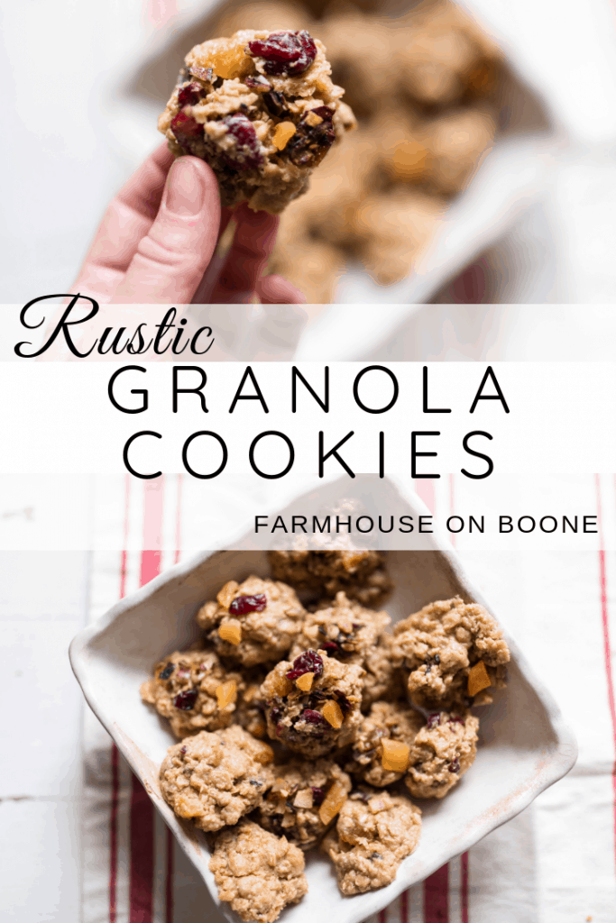 Rustic Granola Cookies Oatmeal cookies with apricots, toasted coconut, dried cranberries and golden raisins #oatmeal #cookie #christmascookies #christmasrecipes #healthycookies