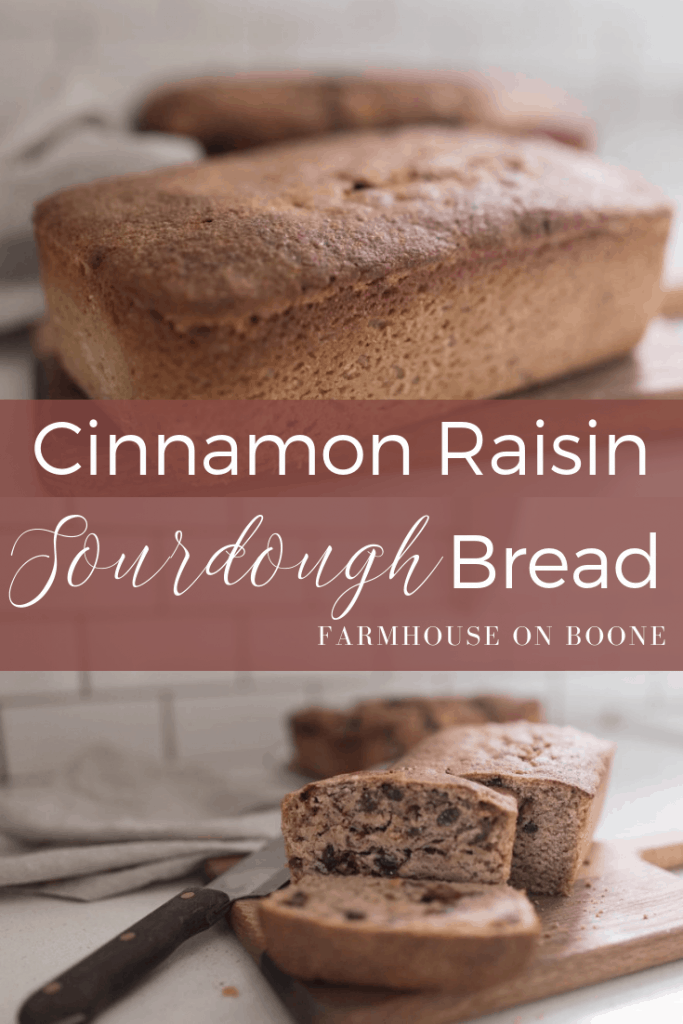 Cinnamon Raisin Sourdough Bread Farmhouse on Boone