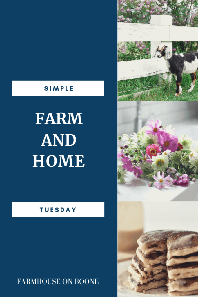 Simple Farmhouse and Home Tuesday - Farmhouse on Boone