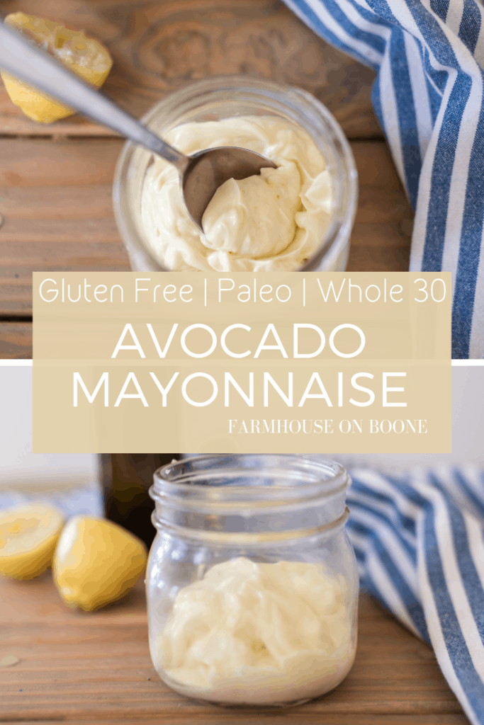 Avocado Mayo Recipe | MADE FROM SCRATCH| Easy Mayonnaise Recipe 