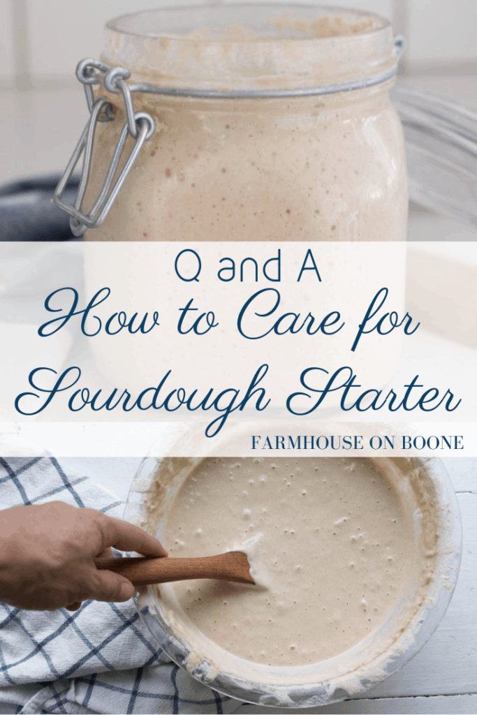 How to Care for Sourdough Starter Q and A