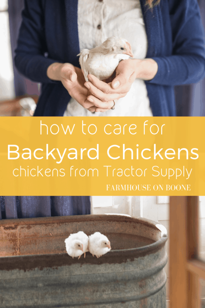 How to Care for Backyard Chickens - Farmhouse on Boone