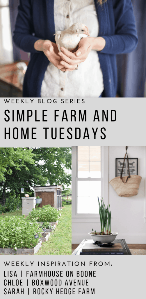 Simple Farm and Home Tuesday how to grow zinnias hot care for backyard chickens and how to force bulbs